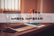 usdt是什么（usDT是什么币）